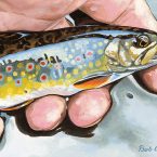 Small Fry Brook Trout