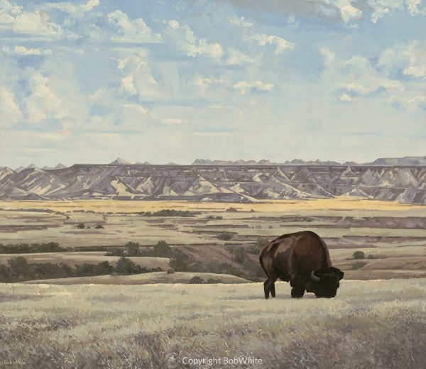 Icon - American Bison