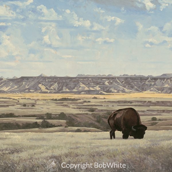 Rural America/Landscapes