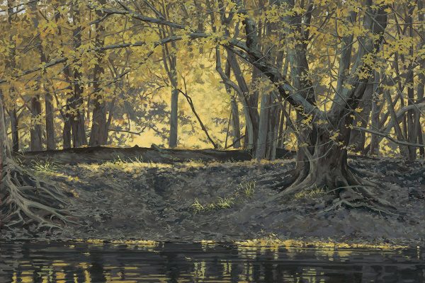 Autumn Light ReflectedOil on Canvas