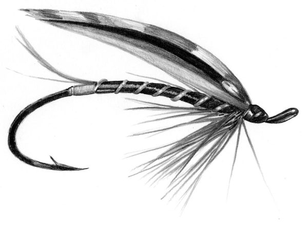Custom Fly Drawings - Image 2