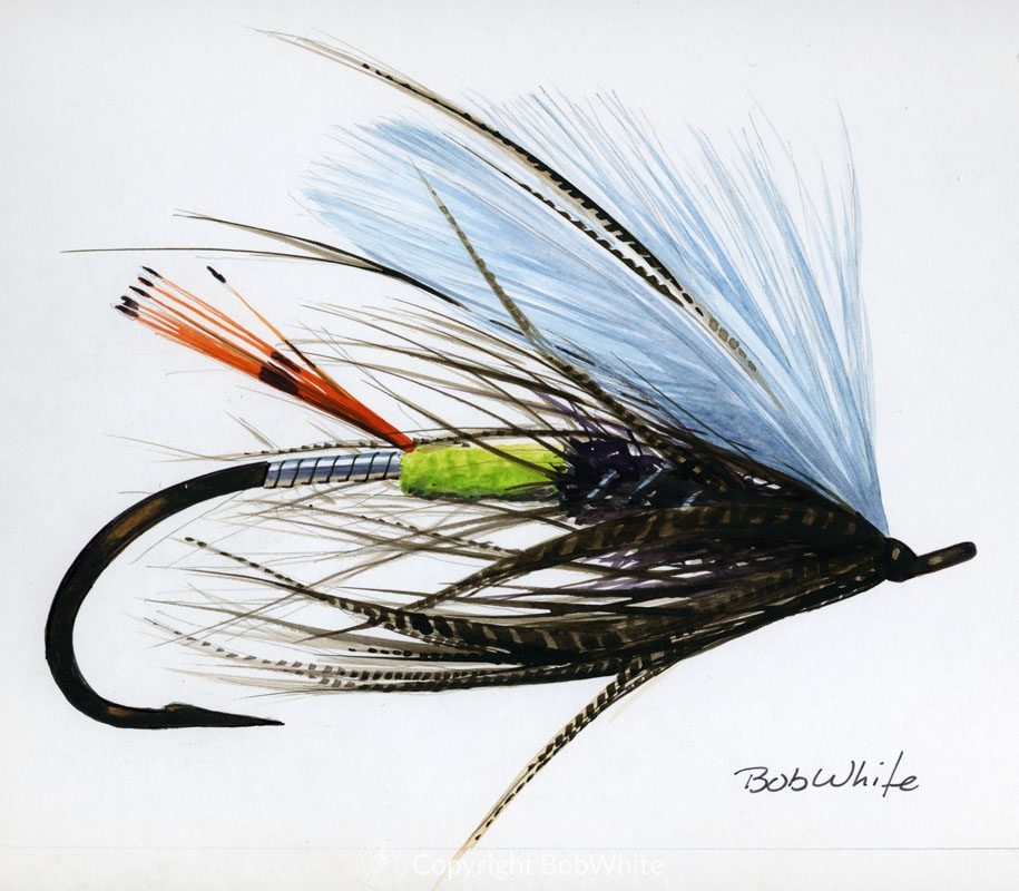 Custom Fly Drawings - BobWhite Studio