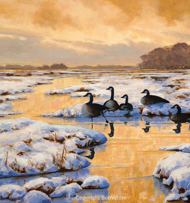 Evening Refuge Holiday Christmas Cards