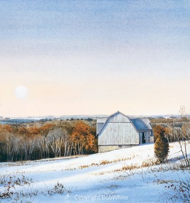 Winter Moon Rising Christmas Card