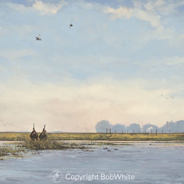 Down Bound - Santa Rita Argentine duck hunting painting