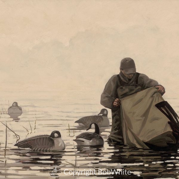 Goose Decoys