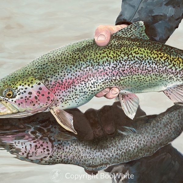 Rainbow Trout Cards