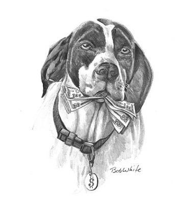 $41,000 Dog