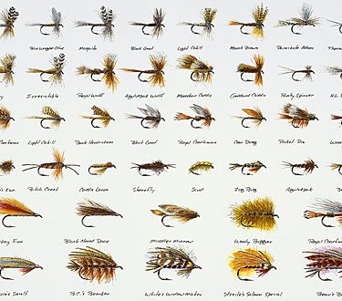 Alaskan Guide's Selection Print