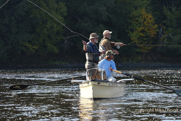 Musky Fly Fishing Wisconsin