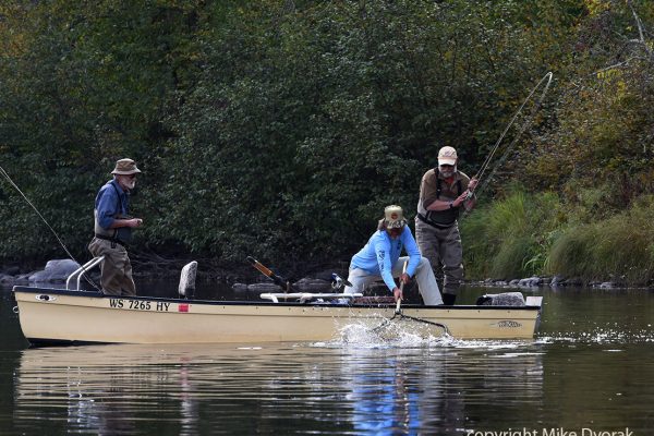 Musky Fly Fishing Wisconsin