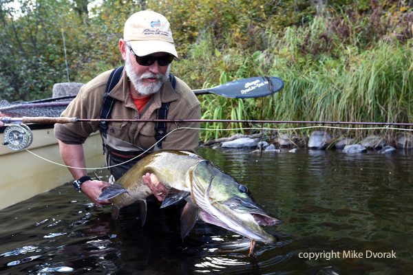 Musky Fly Fishing Wisconsin