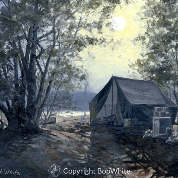 Bottom Land Duck Camp