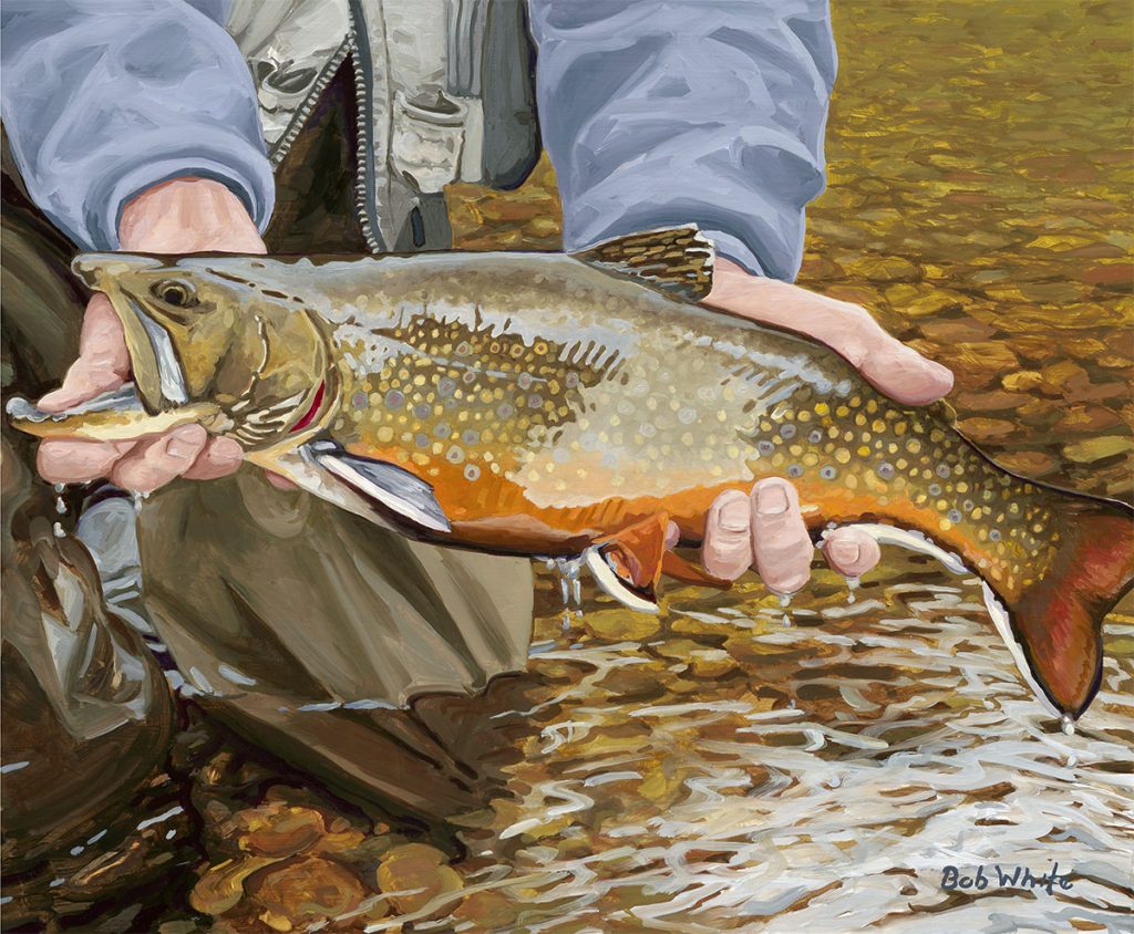 One Last Look Brook Trout Print BobWhite Studio