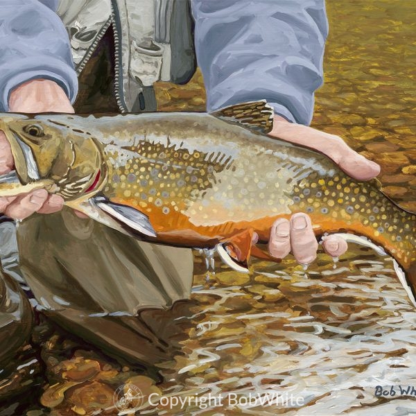 One Last Look - Brook Trout Print
