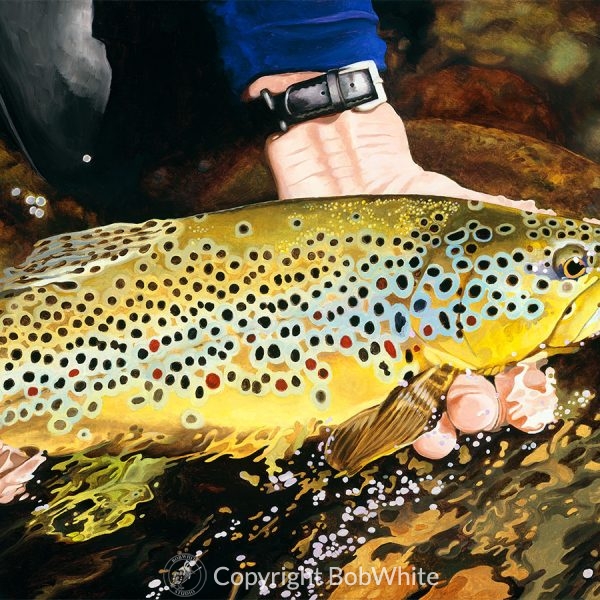 One Last Look - Brown Trout Print