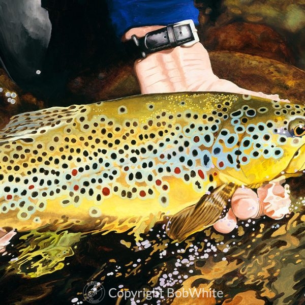 Brown Trout Cards