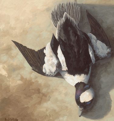 Sporting Still Lifes Sale