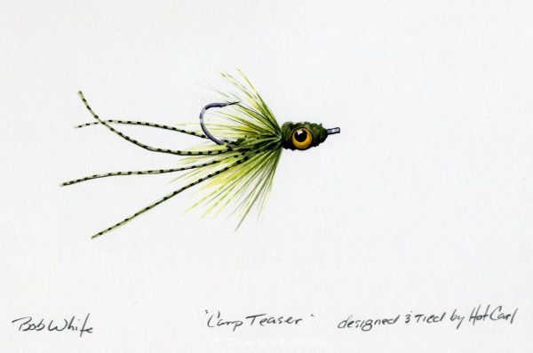 Carp Teaser