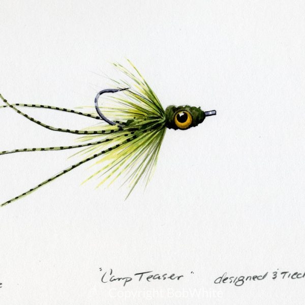Carp Teaser