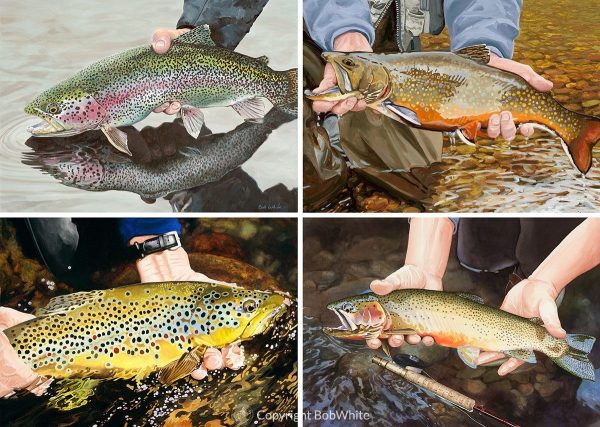 Catch and Release Selection Cards