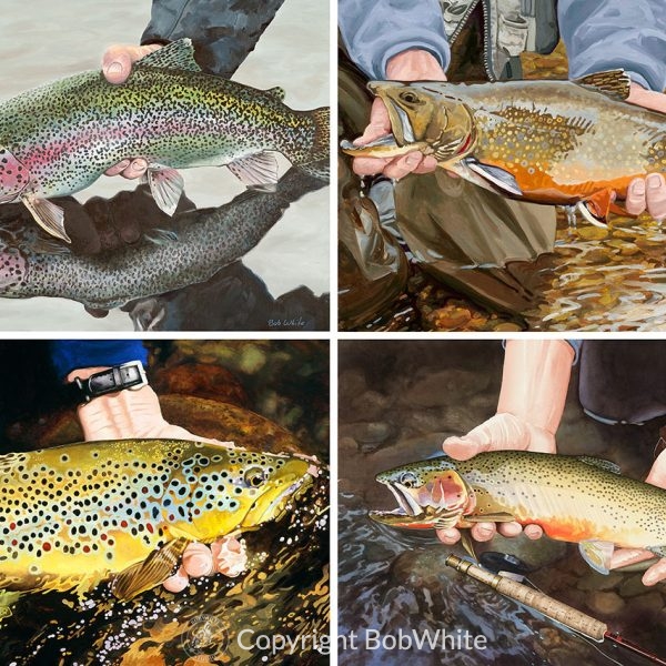 Catch and Release Selection Cards