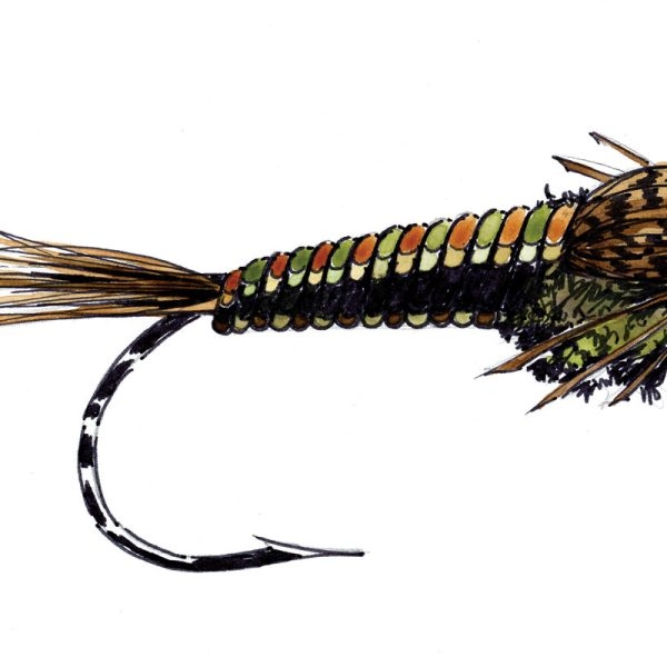 Custom Fly Drawings