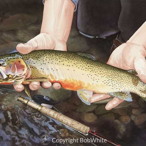 One Last Look - Cutthroat Trout Print