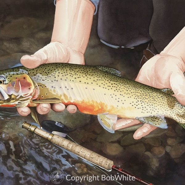 Cutthroat Trout Cards