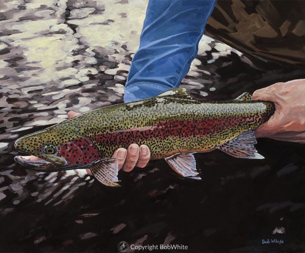Dark Water - Rainbow Trout Print