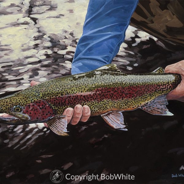 Dark Water - Rainbow Trout Print