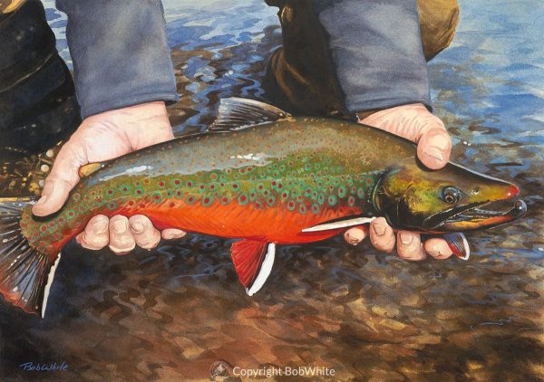 One Last Look - Dolly Varden Print