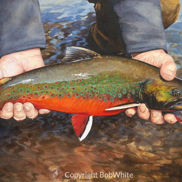 One Last Look - Dolly Varden Print