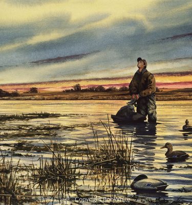 Waterfowl Note Cards