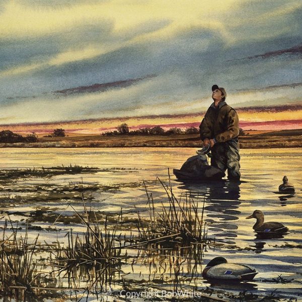 Waterfowl Note Cards