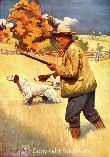Robert Farrington Elwell Upland Print