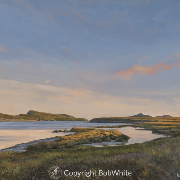 Evening Light - Southwest Alaska