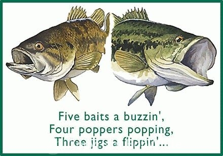 Five Baits a Buzzin Holiday Cards