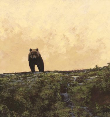 Icon - Alaskan Brown Bear Print
