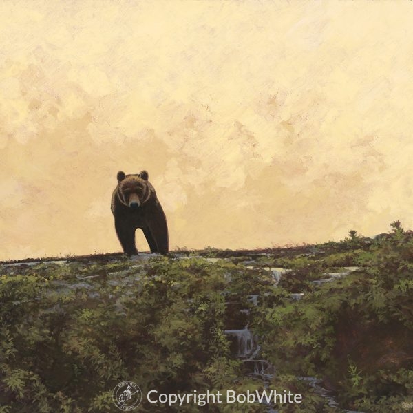 Icon - Alaskan Brown Bear Print