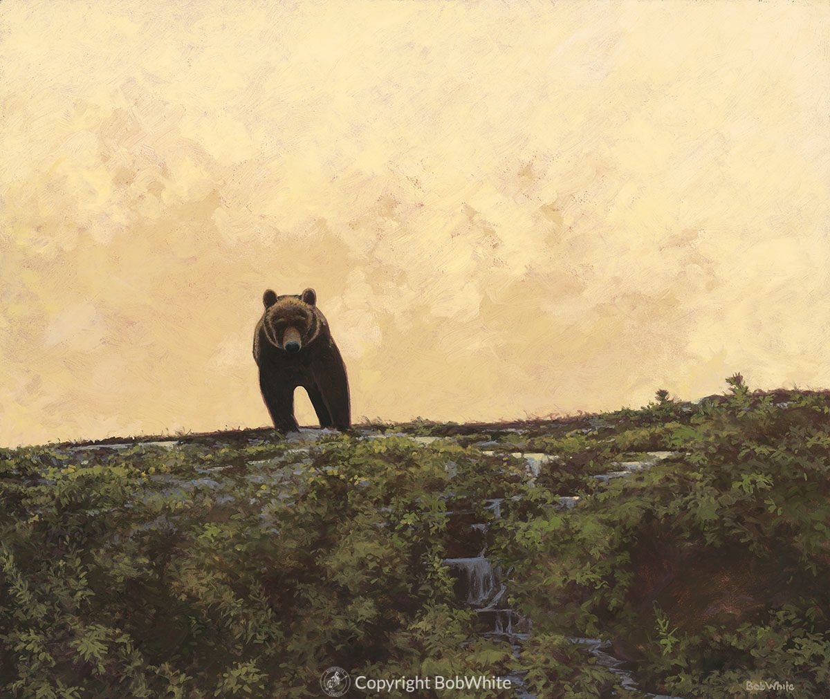 Icon - Alaskan Brown Bear Print