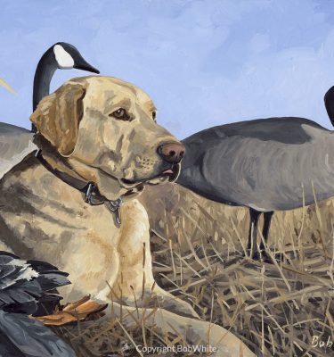 Dogs