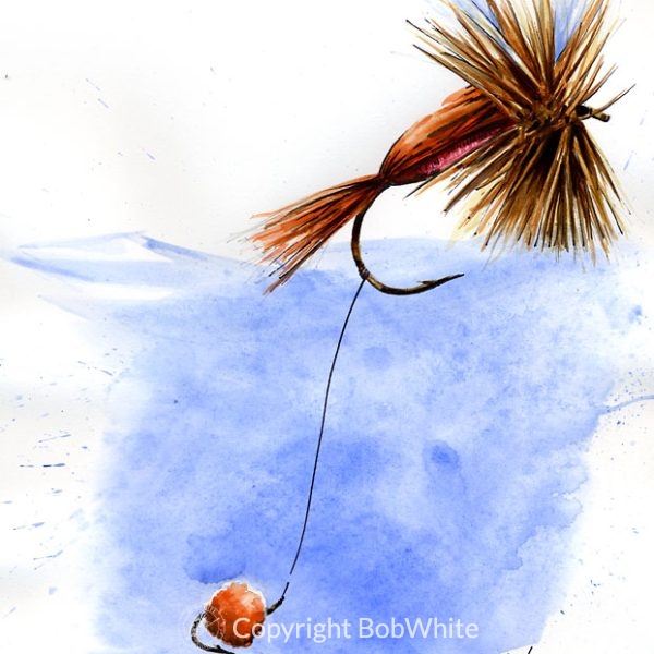Indicator Fly