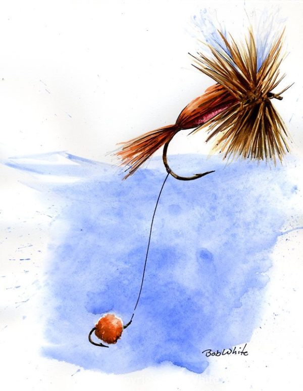 Indicator Fly