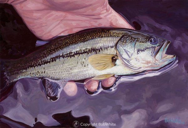 Small Fry - Largemouth Bass Cards