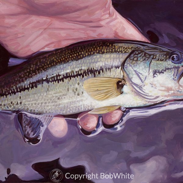Small Fry - Largemouth Bass Cards