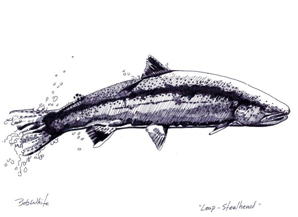 Leap - Ink