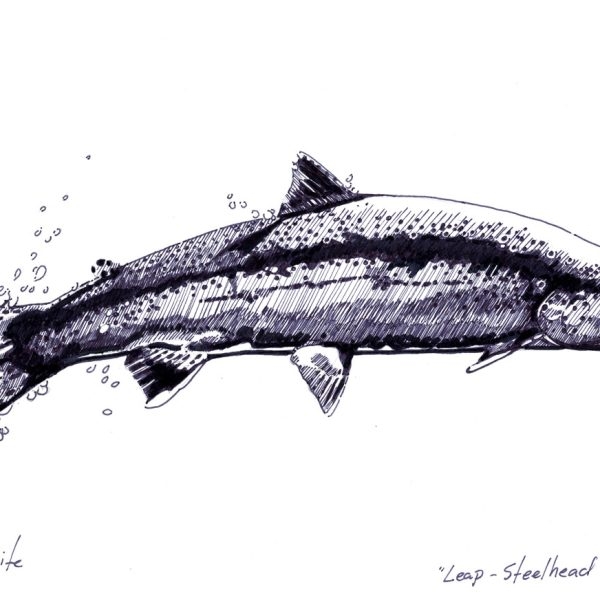 Leap - Ink