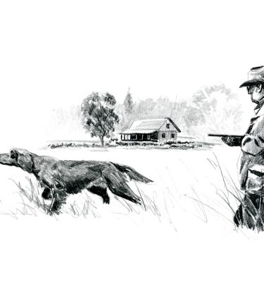 Upland Hunting