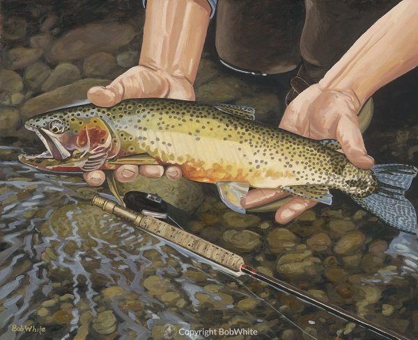 Fishing Sale